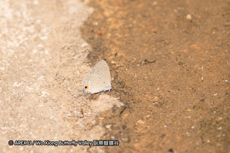 130402_chiangdao_127.jpg