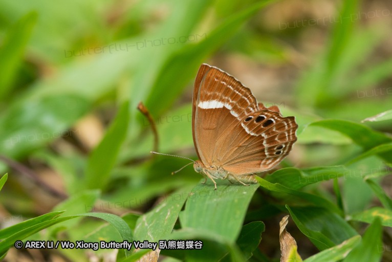 130403_inthanon_034.jpg