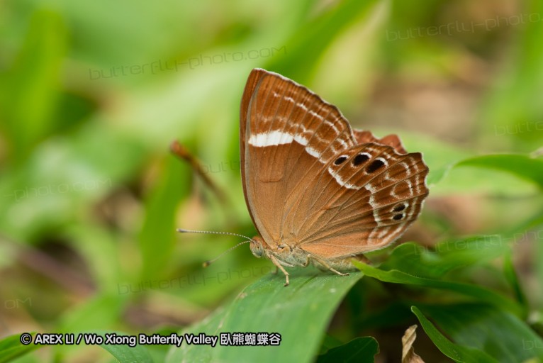 130403_inthanon_035.jpg