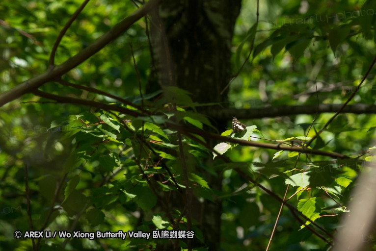 130518_honghegu_108.jpg