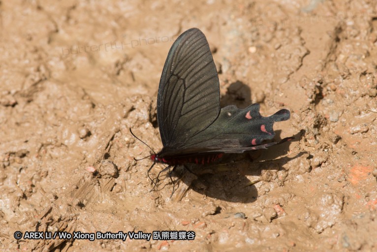 130518_honghegu_131.jpg