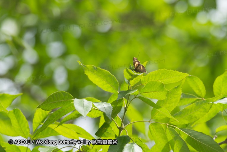 130519_honghegu_11.jpg