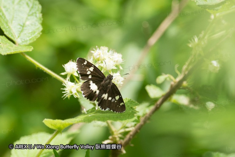 130519_honghegu_19.jpg