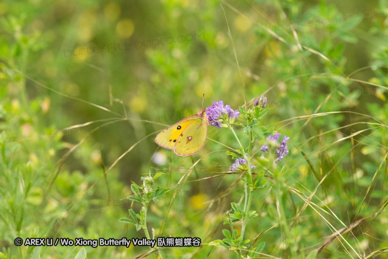 130519_honghegu_34.jpg