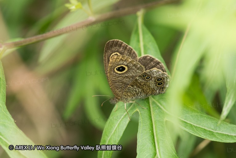 130519_honghegu_55.jpg