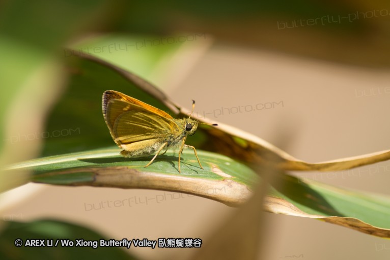 130520_heihe_023.jpg