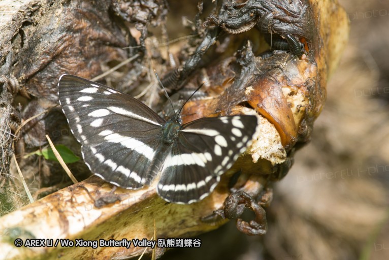 130520_heihe_046.jpg
