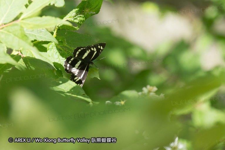 130520_heihe_055.jpg
