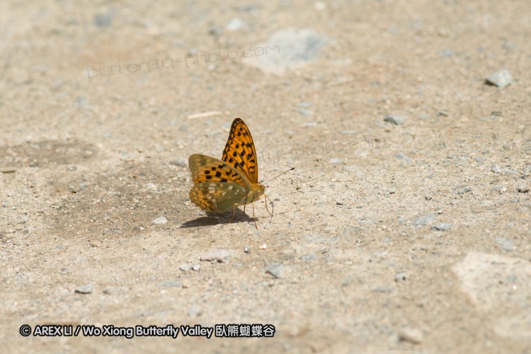 130520_heihe_070.jpg