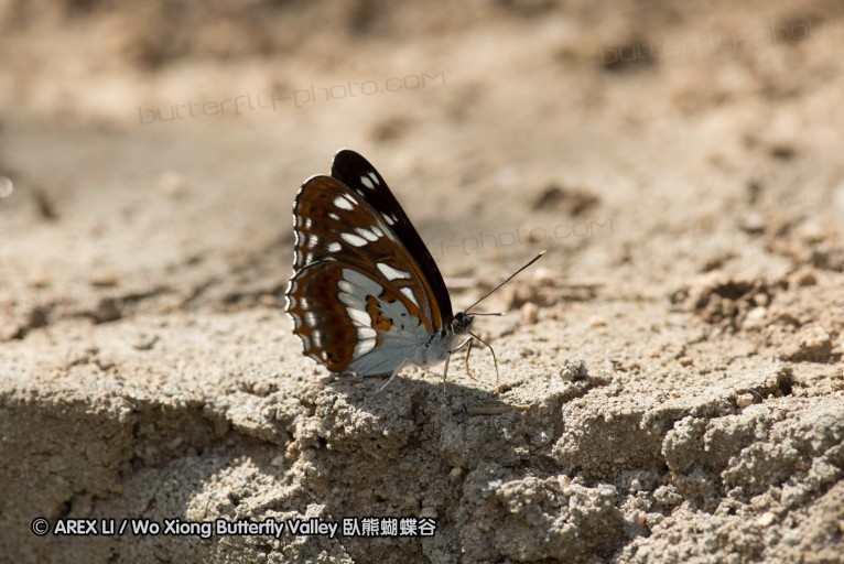 130520_heihe_089.jpg