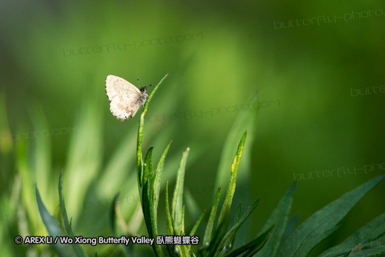 130520_heihe_119.jpg