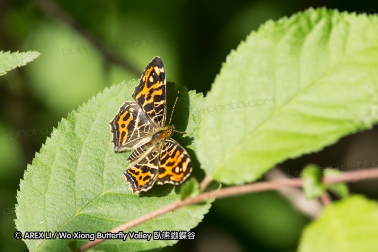 130521_heihe_003.jpg