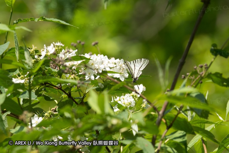 130521_heihe_005.jpg