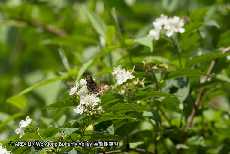 130521_heihe_007.jpg