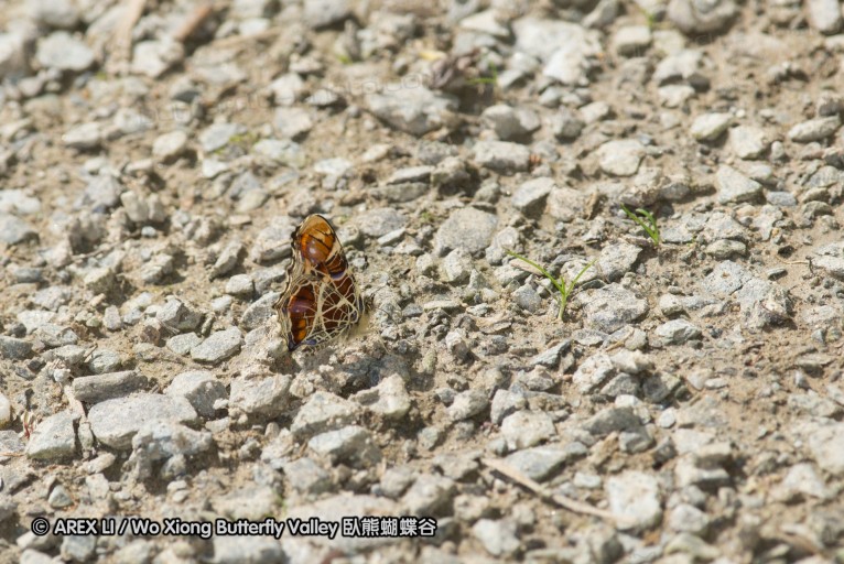 130521_heihe_015.jpg