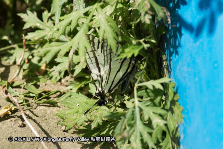 130521_heihe_029.jpg