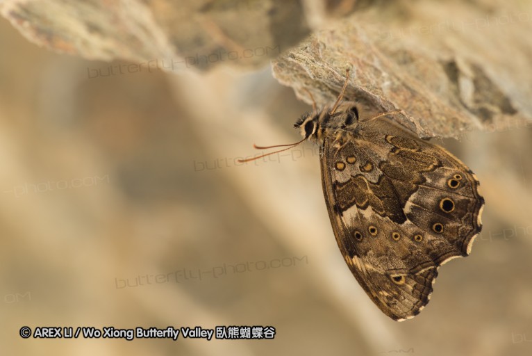 130521_heihe_055.jpg