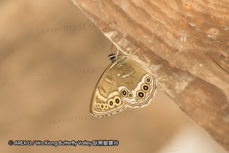 130521_heihe_061.jpg