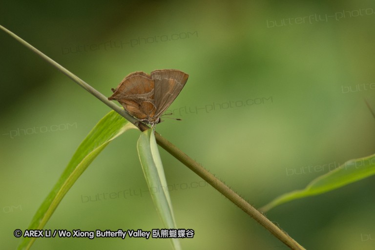 130522_foping_36.jpg