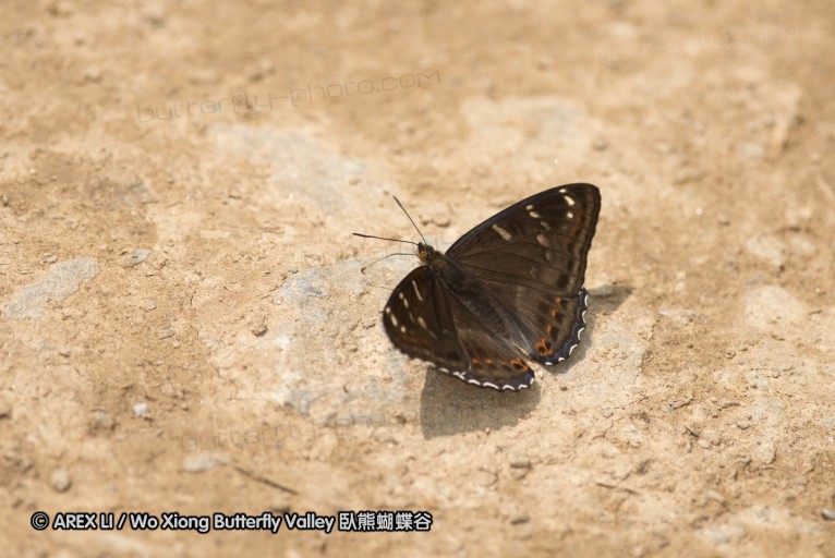 130523_ningshan_33.jpg