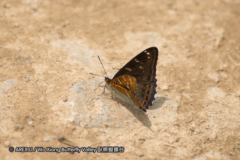 130523_ningshan_34.jpg