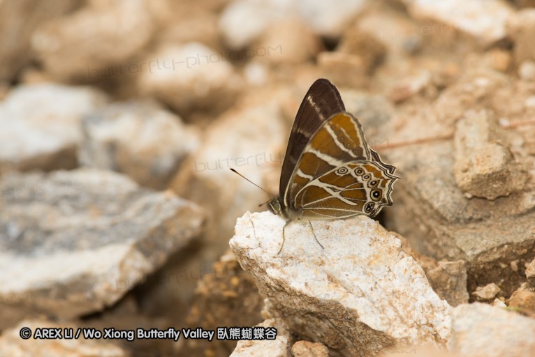 130523_ningshan_43.jpg