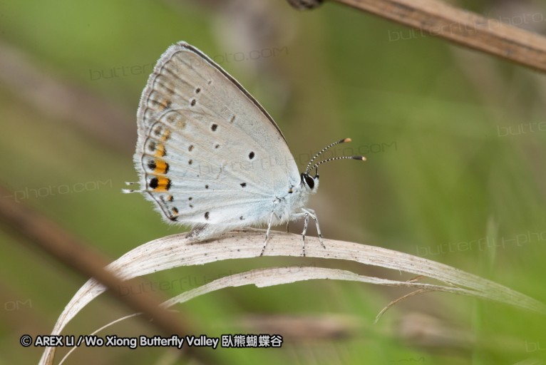 130523_ningshan_45.jpg