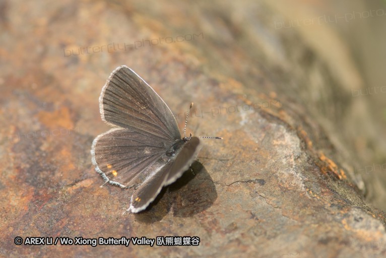 130523_ningshan_46.jpg