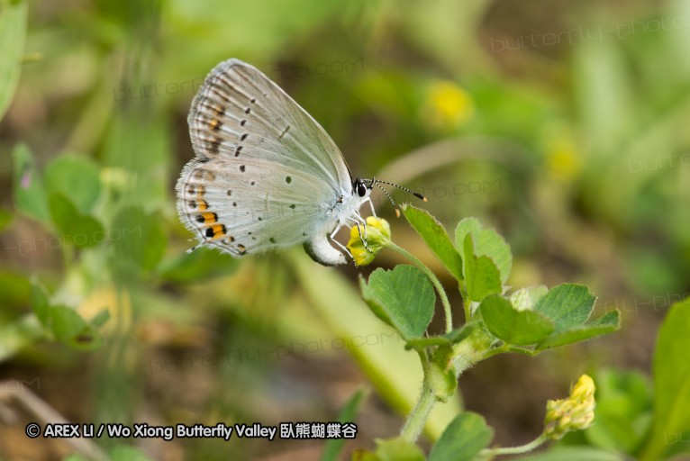 130523_ningshan_48.jpg