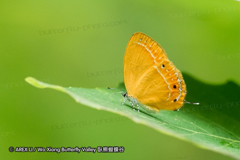 130523_ningshan_61.jpg