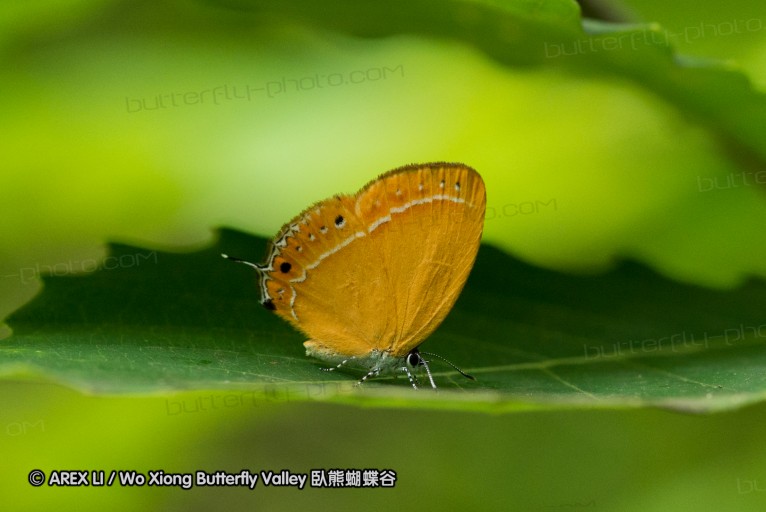 130523_ningshan_62.jpg