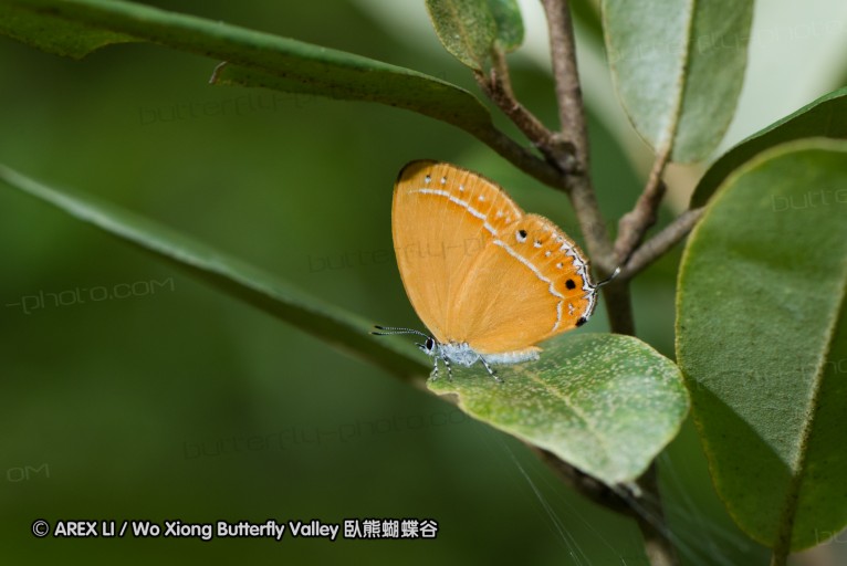 130523_ningshan_64.jpg