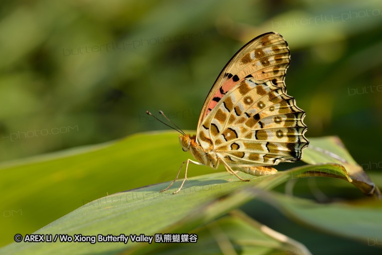 131020_mos_10.jpg