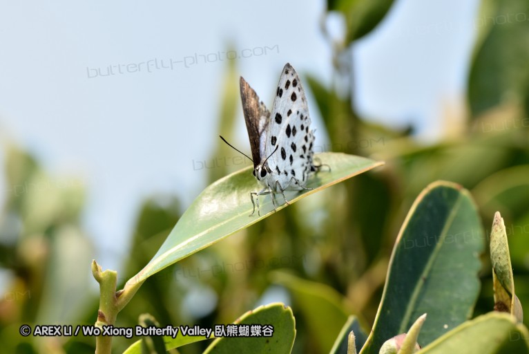 131020_mos_24.jpg