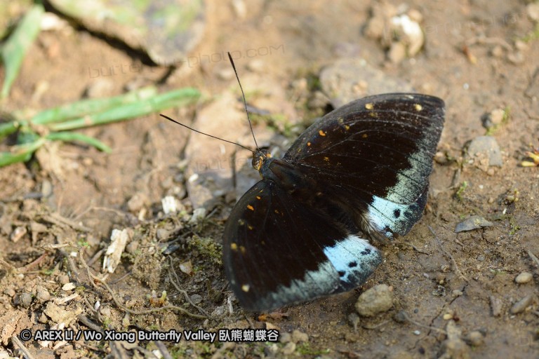 131222_chiangdao_042.jpg
