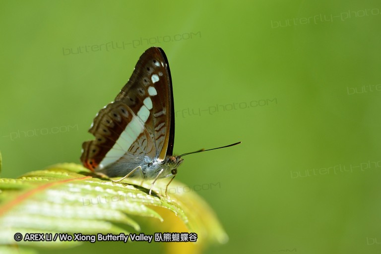 131223_inthanon_012.jpg