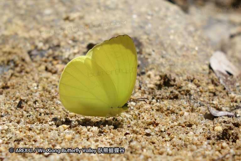 140202_khaosok_036.jpg