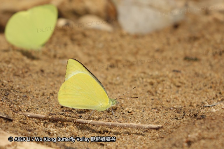 140202_khaosok_043.jpg