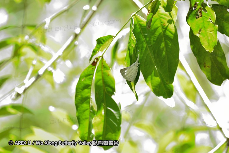 140202_khaosok_046.jpg