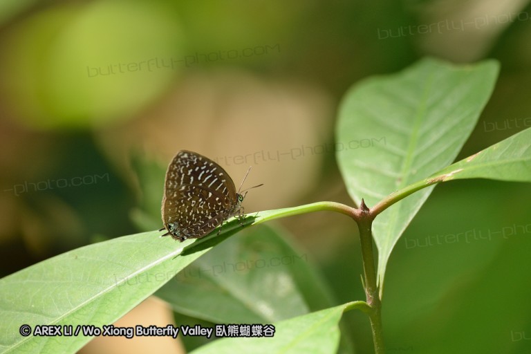 140202_khaosok_048.jpg