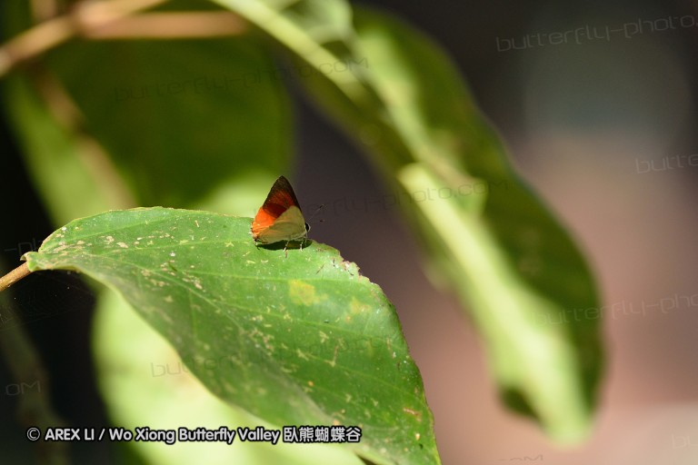 140202_khaosok_073.jpg