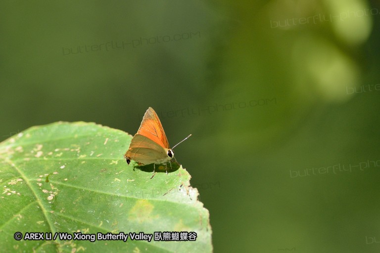 140202_khaosok_074.jpg
