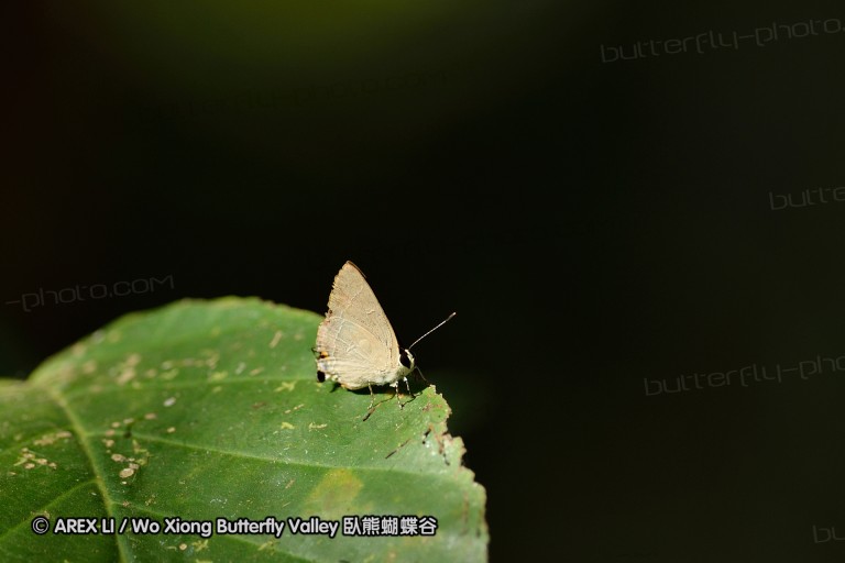 140202_khaosok_075.jpg