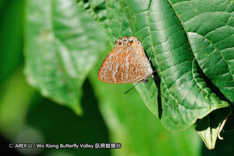 140204_khaosok_021.jpg