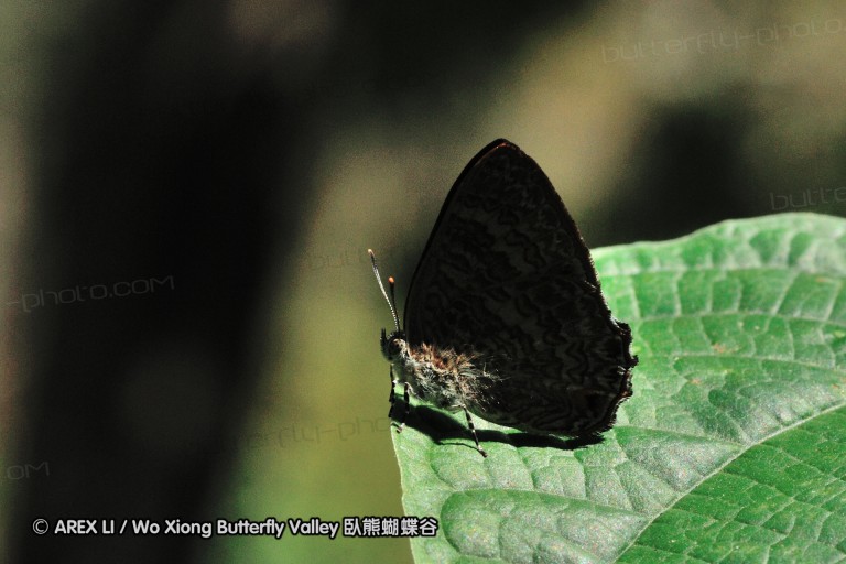 140204_khaosok_022.jpg