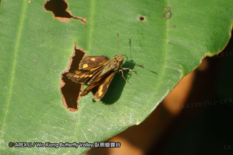 140209_sg_07.jpg