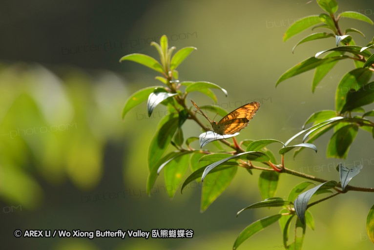140209_sg_11.jpg