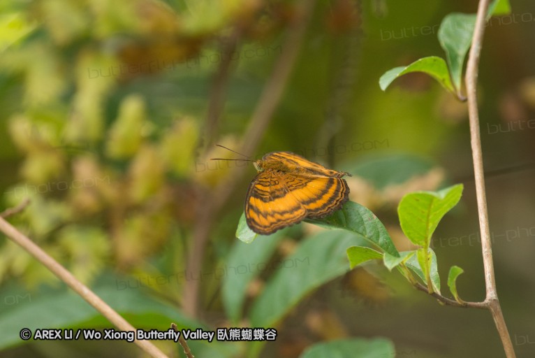 140209_sg_12.jpg