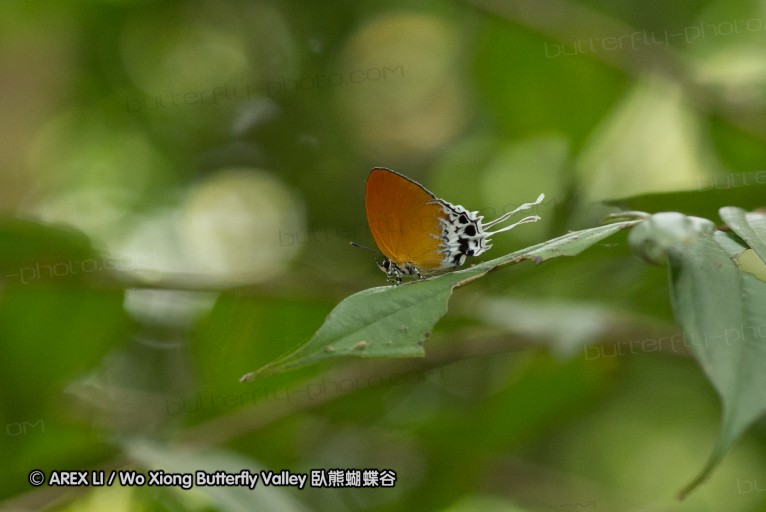 140209_sg_19.jpg