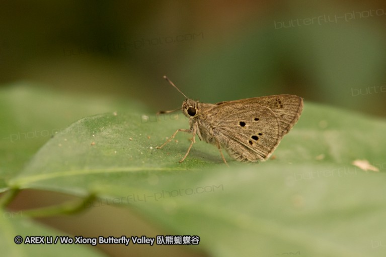 140209_sg_20.jpg